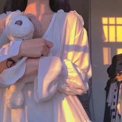 花落莺啼春